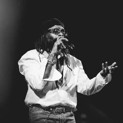 Tarrus Riley profile