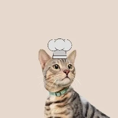 拔拔愛吃.愛料理👩🏻🍳 profile