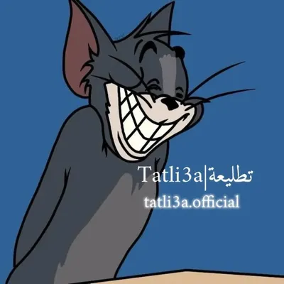 Tatli3a | تطليعة profile
