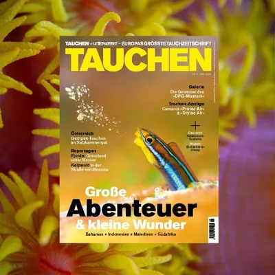 DAS Magazin TAUCHEN profile
