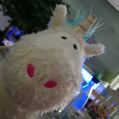 Tay Unicorn profile
