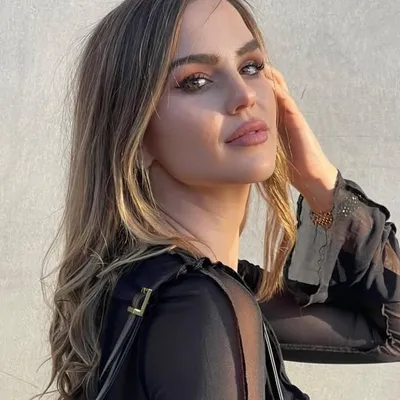 Taylor Sullivan profile