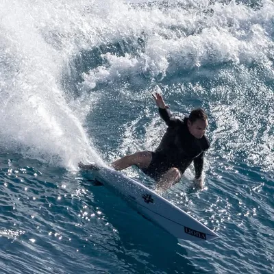 taylor_knox profile