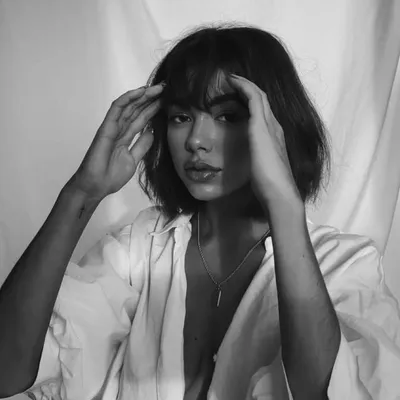 Taylor Dini profile