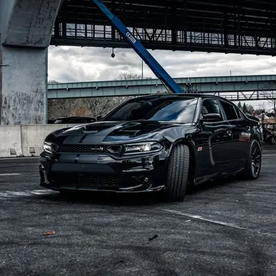 Demon Timeš profile