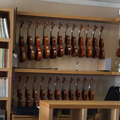 Tchaikovsky School of Music profile