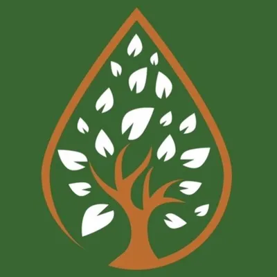 Tea Tree and Oil profile