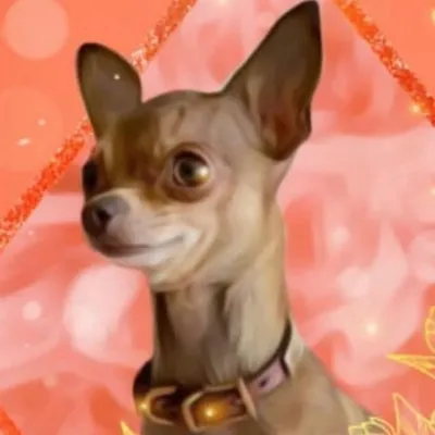 Coconut | Chihuahua Influencer & Pet Coach ๐ profile