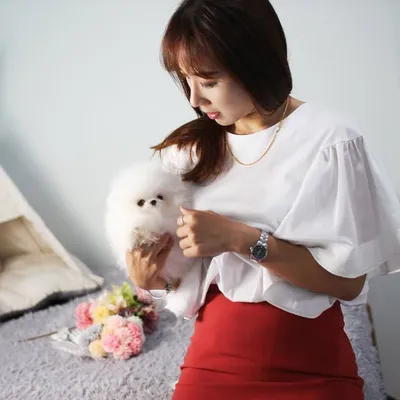 Teacup puppy Boutique profile