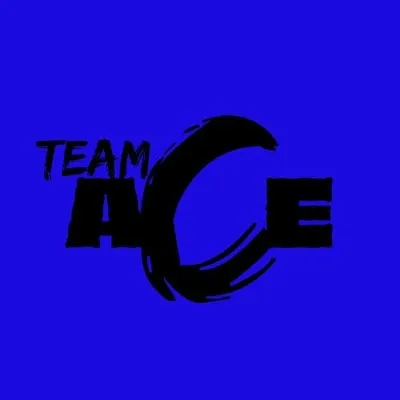 TEAM ACE profile