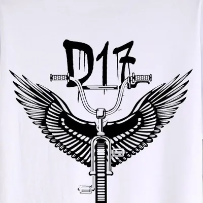 TEAM D17 profile