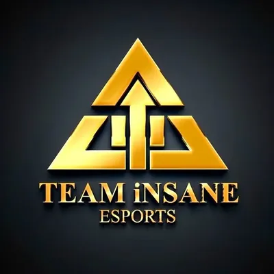Team Insane Esports Official profile