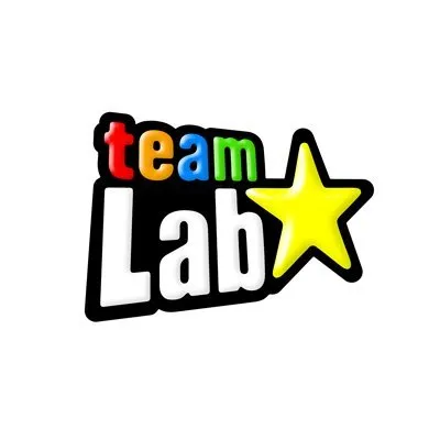 teamLab profile