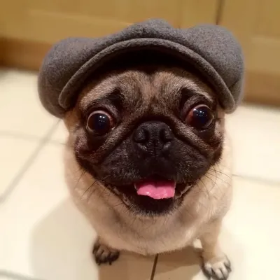 Old account profile