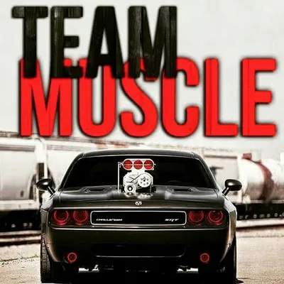 Team Muscle profile