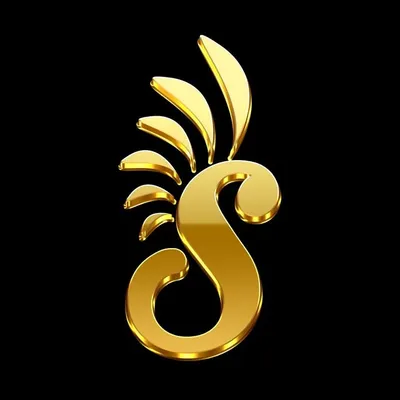 Team Saldenah profile