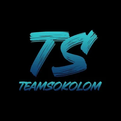 Team Sokolom profile