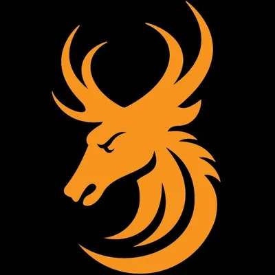 Team Wild TV profile