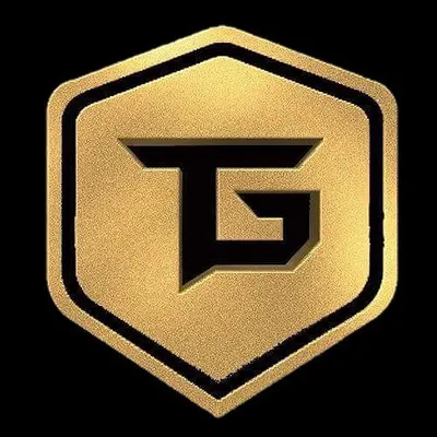 Techno Gamerz profile