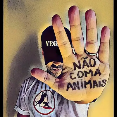 Teco ๐ง๐ท profile