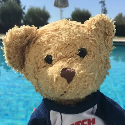 Ted Bear Jones profile