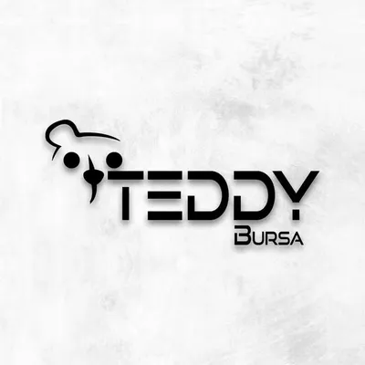 Teddy Bursa profile