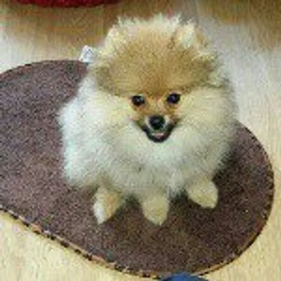 ๐พ๐Teddy๐๐พ profile