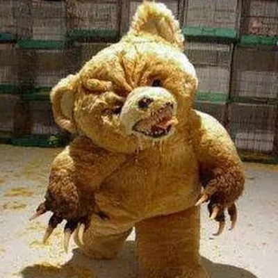 Ted The Stoner