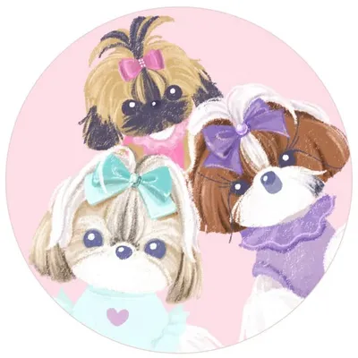 Tinkie, Bardot & Keaton - Tiny Shih Tzus profile