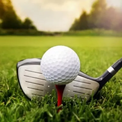 Golf Instructor | Golf Lessons | Caddy | Las Vegas profile