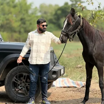 Tejpalsinh Jadeja profile