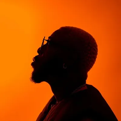 omotékùnbí 🦁🌴 profile