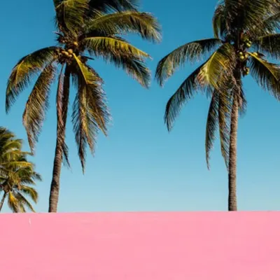 T E L A V I V E R ® profile