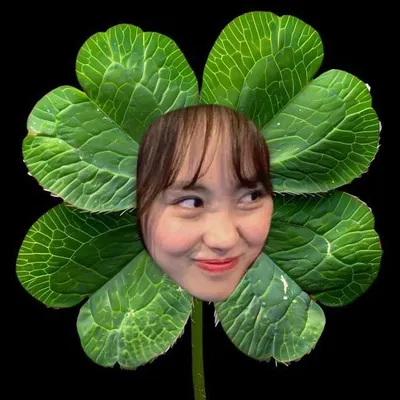 Temsu Clover profile