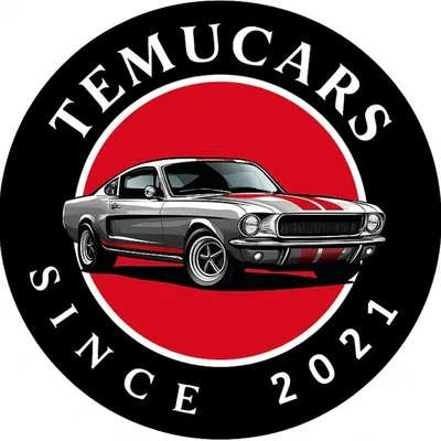 Temucars profile