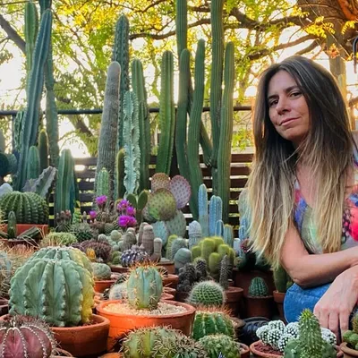 terecordeyro🌵coleccionista 🇦🇷 profile
