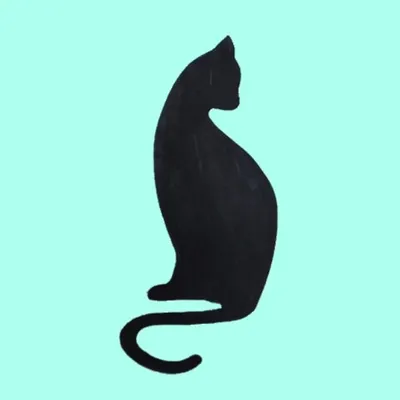 TerrifiCat Gallery ๐บ Cat Shop profile