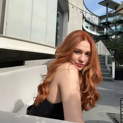 Tete Sepulveda🦋 profile
