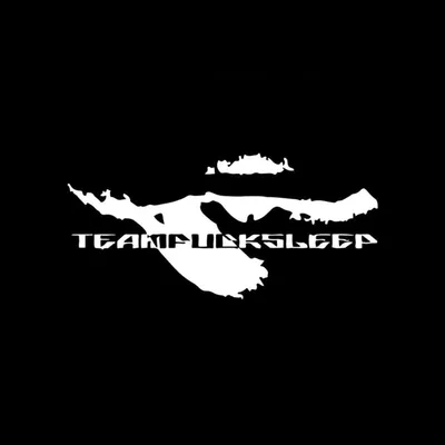 TEAMFUCKSLEEP profile