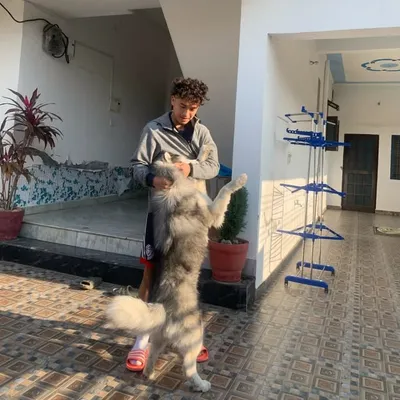 🧸 profile