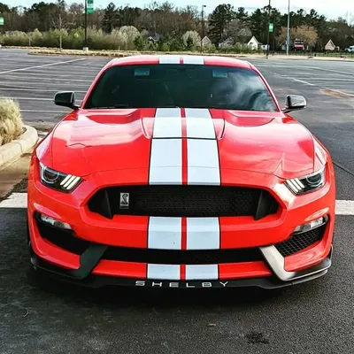 that_bama_vudu profile
