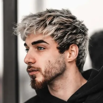 profile