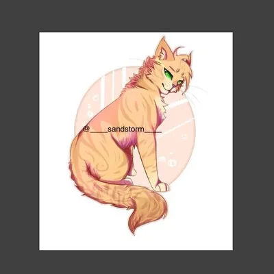 💛Sandstorm💛 profile