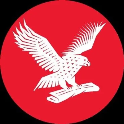 The Independent profile