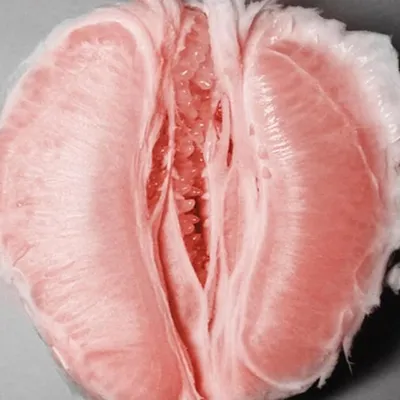 The Pink Lemonade profile