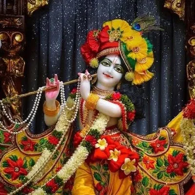 जे पी राजपूत profile