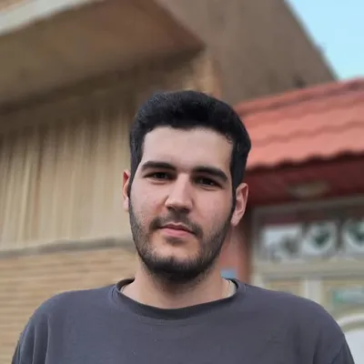 Mehrdad M. Ayvatlo profile