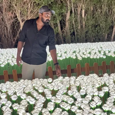 AJU THOMAS profile