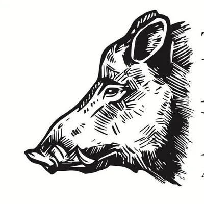 The Boar’s Head, Fife profile