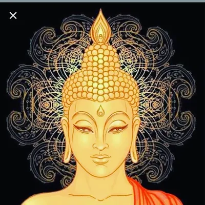 The Buddha's Way profile